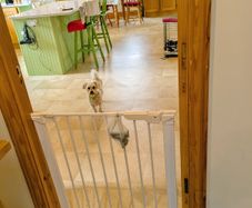 Safety gate (for baby and pet safety)