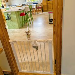 Safety gate (for baby and pet safety)