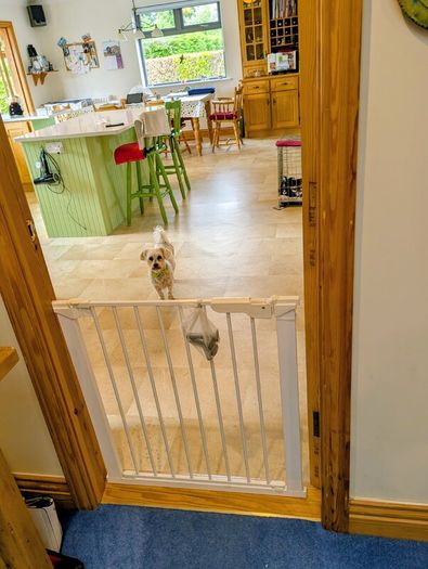 Safety gate (for baby and pet safety)