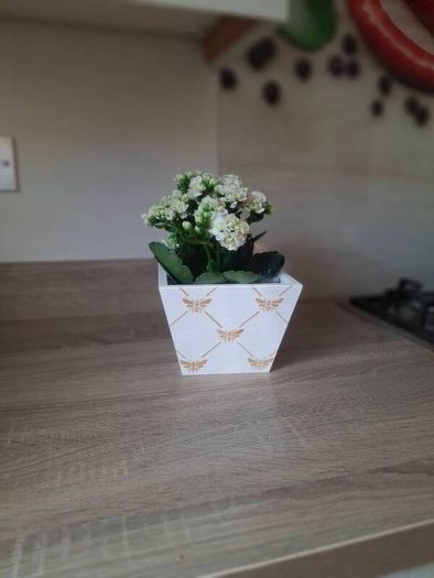 Wooden Box