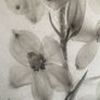 Large canvas print Image 3