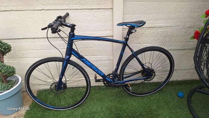 Meridian Bicycle mens