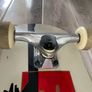 Evergreen Tree Complete Skateboard Image 4