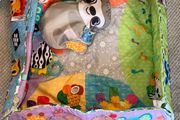 Baby play-mat / gym