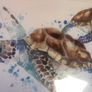 frame Image 4