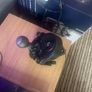 Playseat Racing Simulator and Logitech G29 and Shifter  PS5 PS4 PC Image 4