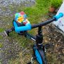 Bike Image 2
