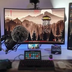 2x Dell 24" monitors