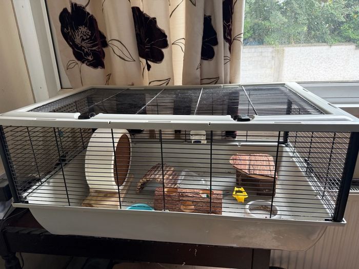 Hamster cage