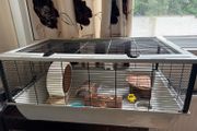 Hamster cage