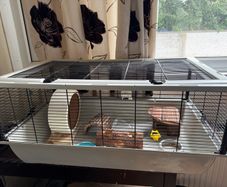 Hamster cage