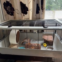 Hamster cage