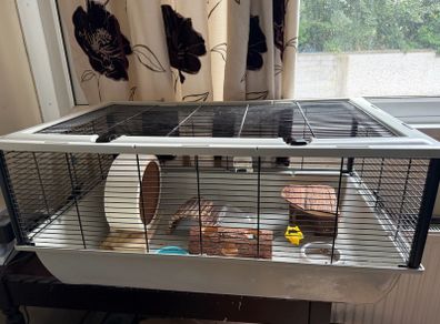 Hamster cage