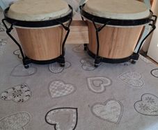 Bongo drums