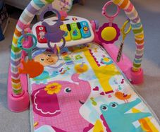 Baby Play Gym