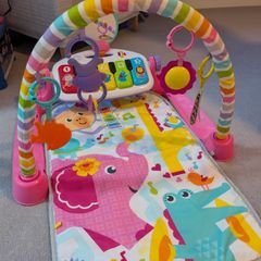 Baby Play Gym
