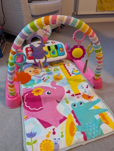 Baby Play Gym