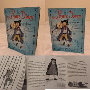 Pirate Diary: The Journal of Jake Carpenter by Chris Riddell
