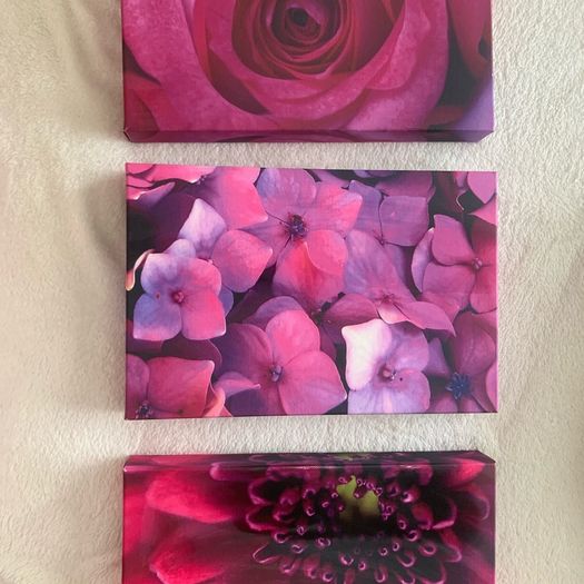 Set Of 3 Canvas Pictures