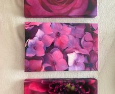 Set Of 3 Canvas Pictures