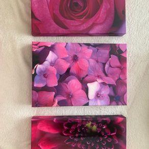 Set Of 3 Canvas Pictures