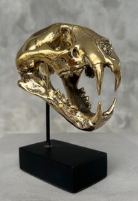 Snow Leopard (19cm) - Polished Bronze