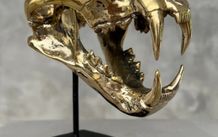 Snow Leopard (19cm) - Polished Bronze