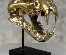 Snow Leopard (19cm) - Polished Bronze