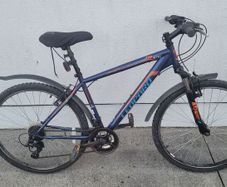 kids