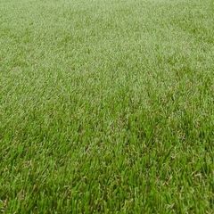 Artificial Grass BRAND NEW astroturf