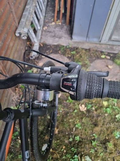 Adult Bike