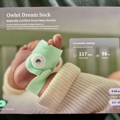 Owlet Dream Sock - Mint (Unused)