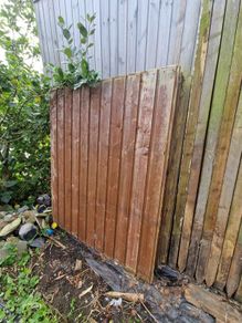 Fence Panels