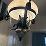 hanging light Image 3