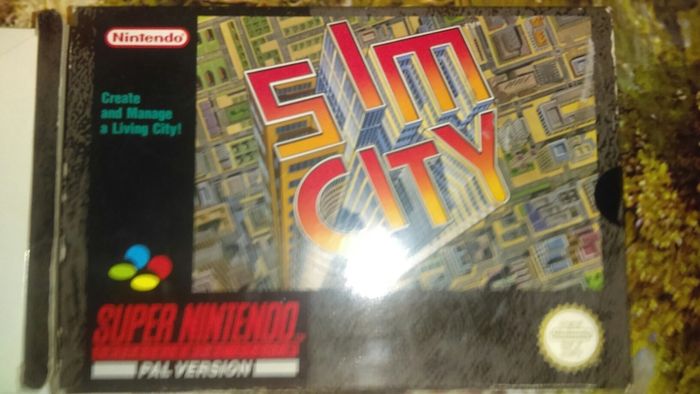 Sim City