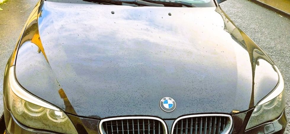 2010 BMW 5 Series
