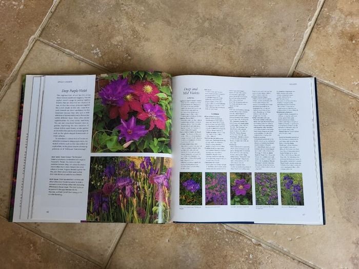 The Gardener's Book of Colour by Andrew Lawson.