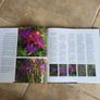 The Gardener's Book of Colour by Andrew Lawson. Image 5