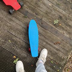 penny skate board