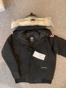Canada goose