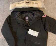 Canada goose