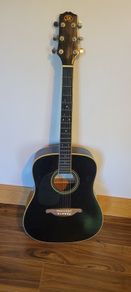 left hand guitar & case