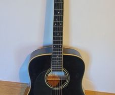 left hand guitar & case