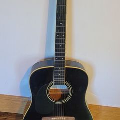 left hand guitar & case