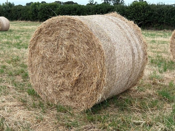 20 Round Bales of Hay