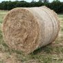 20 Round Bales of Hay Image 3