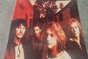 Bon Jovi: These Days (Piano Vocal Guitar) by Bon Jovi .Paperback Book