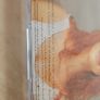 Tori Amos CD - Under The Pink Image 2