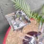 Glass Candleabra Image 3