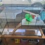 Hamster / Gerbil / Rat Cage --- Read Description! Image 4
